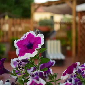  Affittacamere Domus Socolatae Apartments&suites