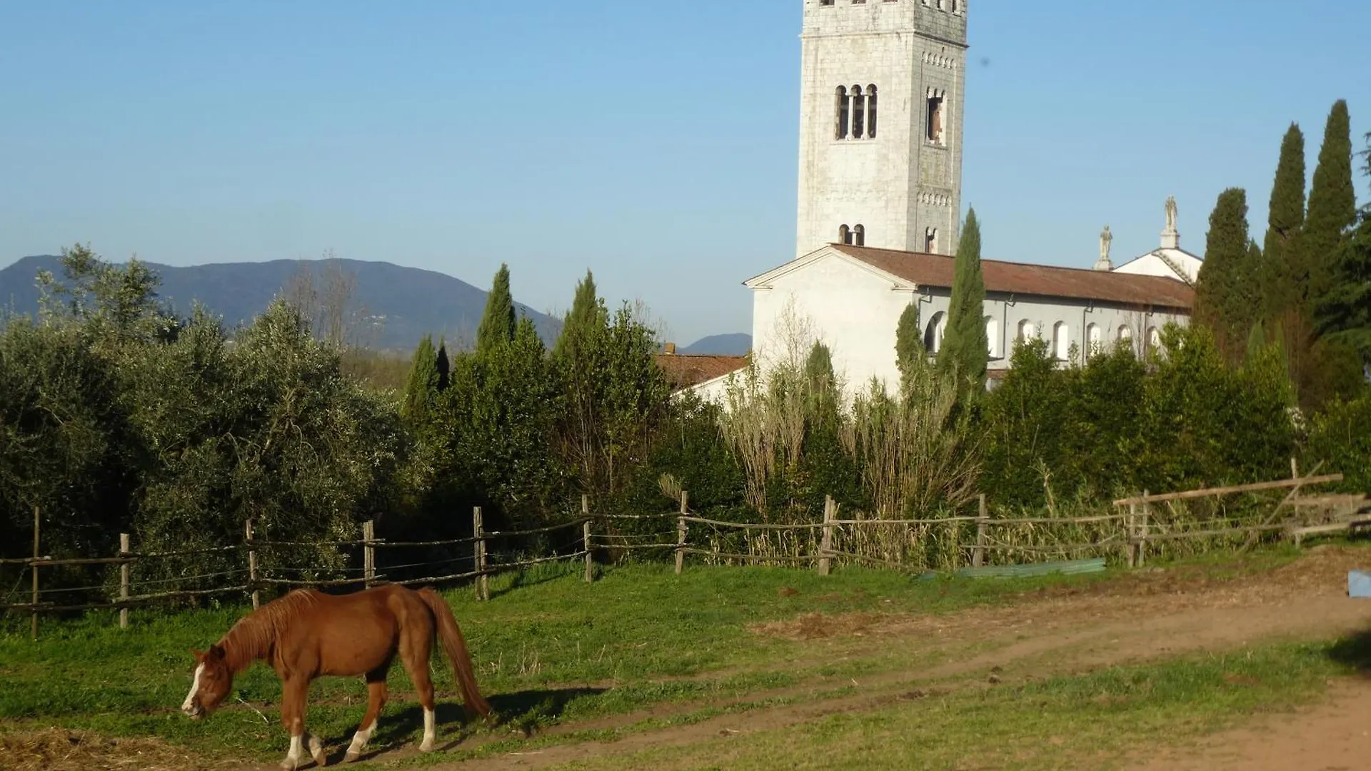 Bed and Breakfast Casa Marcè a Sonno Porcari Italia